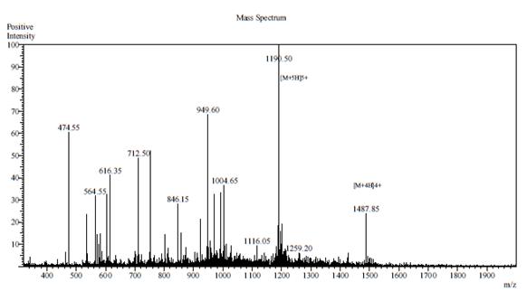 Case study 2 MS results