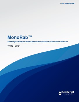 MonoRab™ White Paper