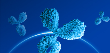 Accelerating Therapeutic Antibody Development: Discover Our Cutting-Edge CHO Expression Technology