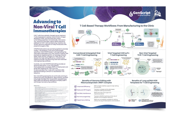 Advancing to Non-Viral T cell Immunotherapies
