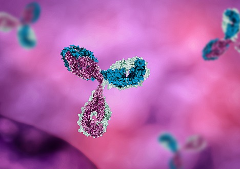 Anti-AAV Antibodies