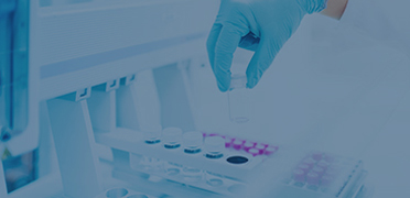 PCR Reagents