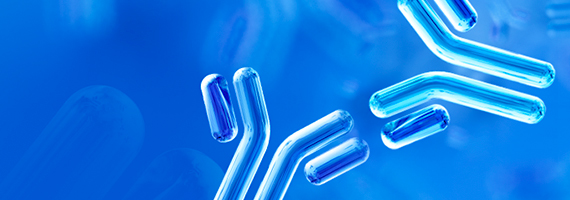 Anti-idiotype Antibody Services