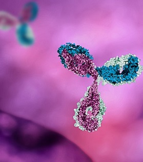 AAV Antibodies
