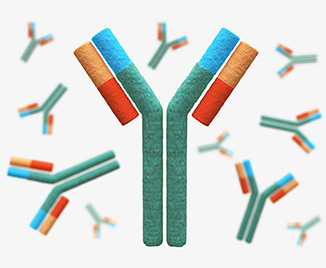 CRISPR/Cas9