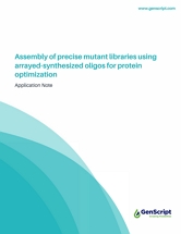 Assembly of precise mutant libraries