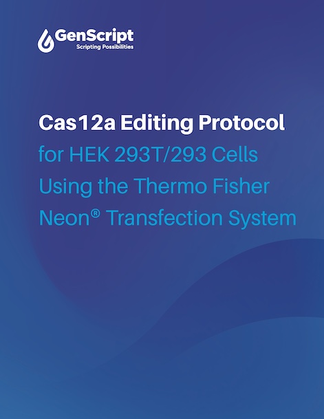 Cas12a Editing Protocol for HEK 293T/293 Cells Using the Thermo Fisher Neon® Transfection System
