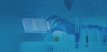 ELISA Kits