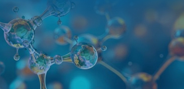 Primary Antibodies