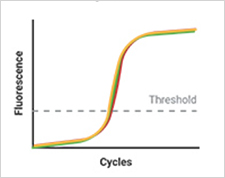 qPCR