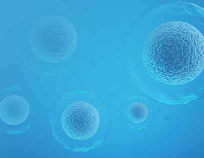 CytoSinct™ Nanobeads