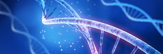 Circular RNA : Emerging Technologies in Cell & Gene Therapy