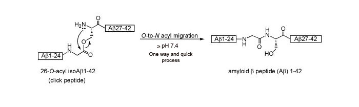 β-amyloid (1-42) click peptide