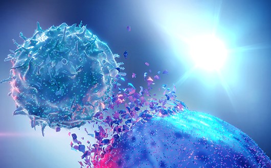 NK Cells
