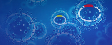 CRISPR gRNA Libraries