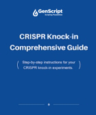 CRISPR Knock-in Comprehensive Guide