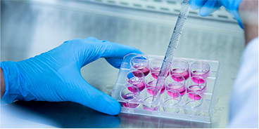 Disease Model Generation Using CRISPR
