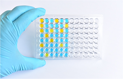 Disease Model Generation Using CRISPR