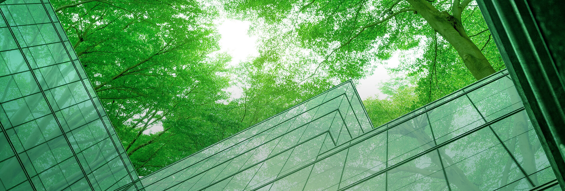 ESG Reports & Resources