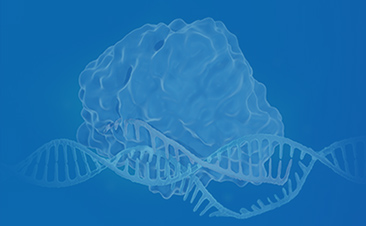 GenCRISPR Synthetic sgRNA