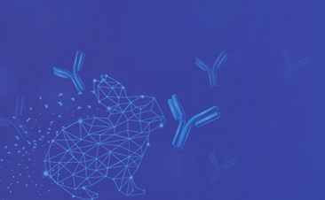 FAST rabbit mAb Services-MonoRab™