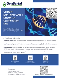 CRISPR CAR-T KI Optimization Kit