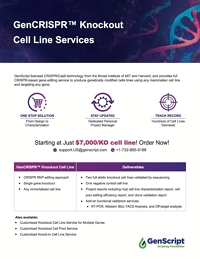 CRISPR KO Cell Lines