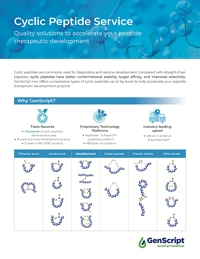 Peptide Cyclic Peptides