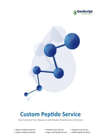  Custom Peptide Synthesis Brochure