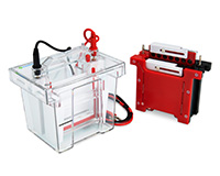 GenBox Mini Blot System