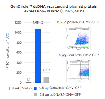 GenCircleTM dsDNA vs. standard plasmid protein expression– in vitro (H1975, 48 h)
                