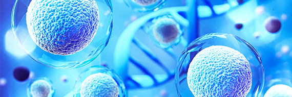 An All-in-One mRNA-LNP System for CRISPR Genome Editing