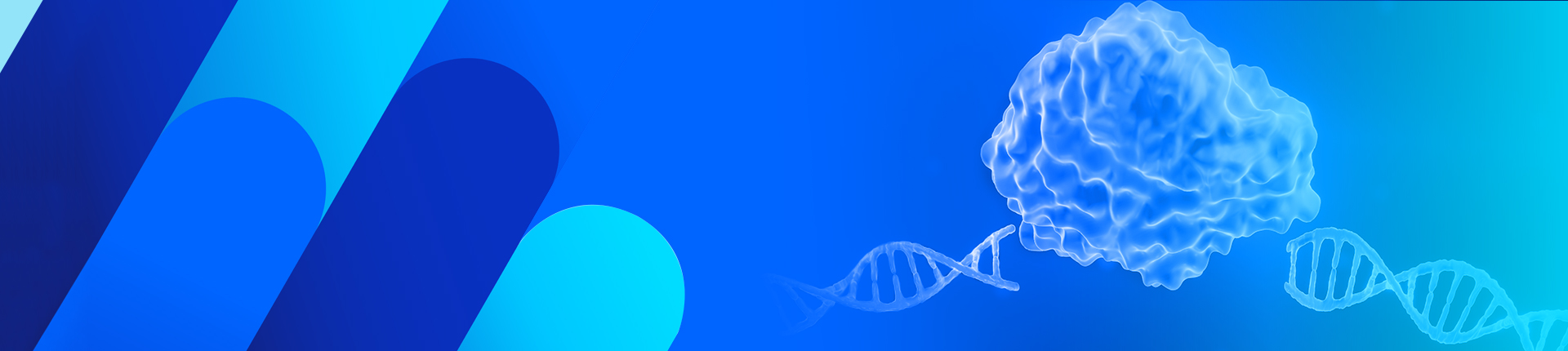 GenCRISPR™ gRNA/Cas9 Plasmids