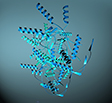 protein machineries