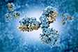 genetic mutations & response to immunotherapy
