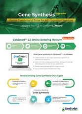  GenScript Molecular Biology Services Flyer