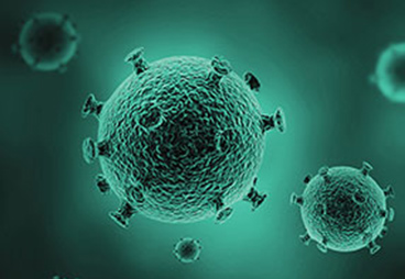 Peptide Libraries Probe SARS-CoV-2 Crossreactive T Cell Memory