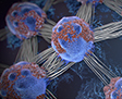 How cancer cells behave naturally