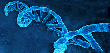 How Cell-free mRNA Templates Support Faster Research with High-quality and Quick Turnaround?