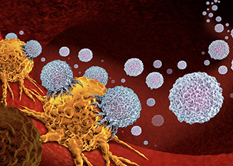 How the Proteasome Modulates the Immunopeptidome