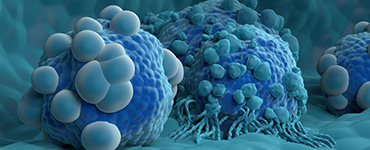 In Vitro CAR-TCR Evaluation 
