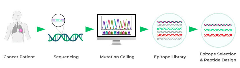 Tumor Study Workflow