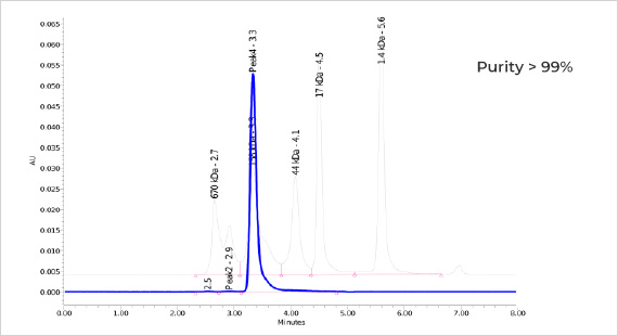 TurboCHO™ antibody expression-Human IgG1
