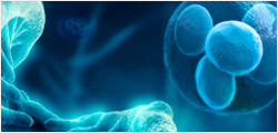 Gene and Cell Therapy