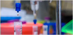 Protein
                    Isolation &
                    Purification