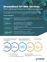 IVT mRNA Service Flyer