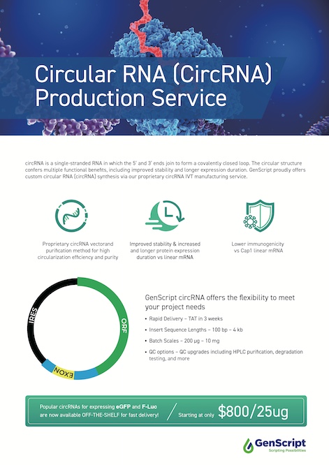 Circular RNA Service Flyer 