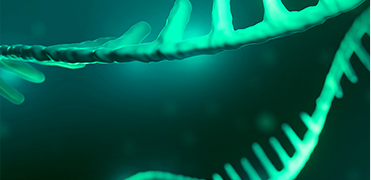 Plasmid Preparation