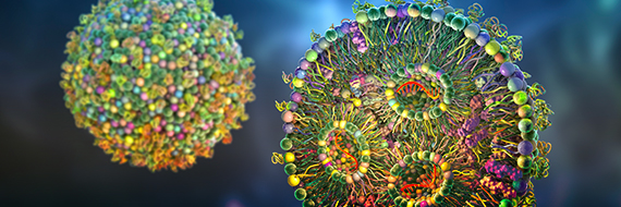 Lipid Nanoparticles - The Vanguard of CRISPR Delivery Systems