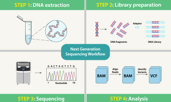 Second Generation: Next-Generation Sequencing (NGS)